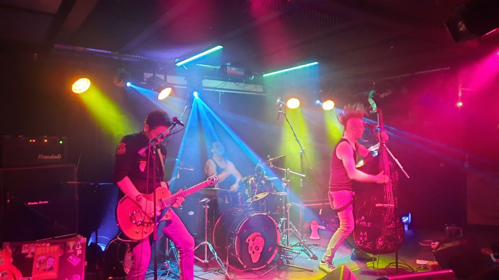 Laurynas Baškys: Alternatyvaus roko ir „psychobilly“ koncertas muzikos klube „Lemmy“